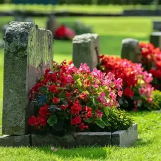 التماس دعا برای سرد شدن داغ عزیزان