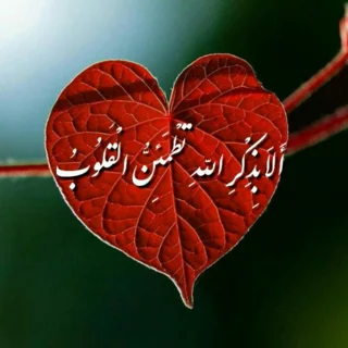 التماس دعا برای آرامش قلبی